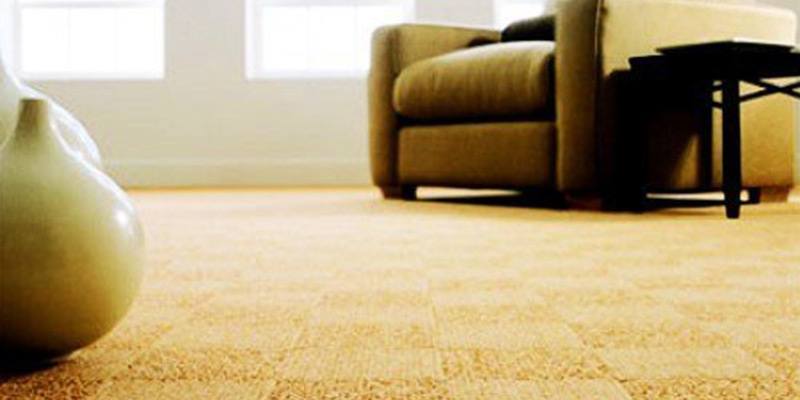 carpet, living room view