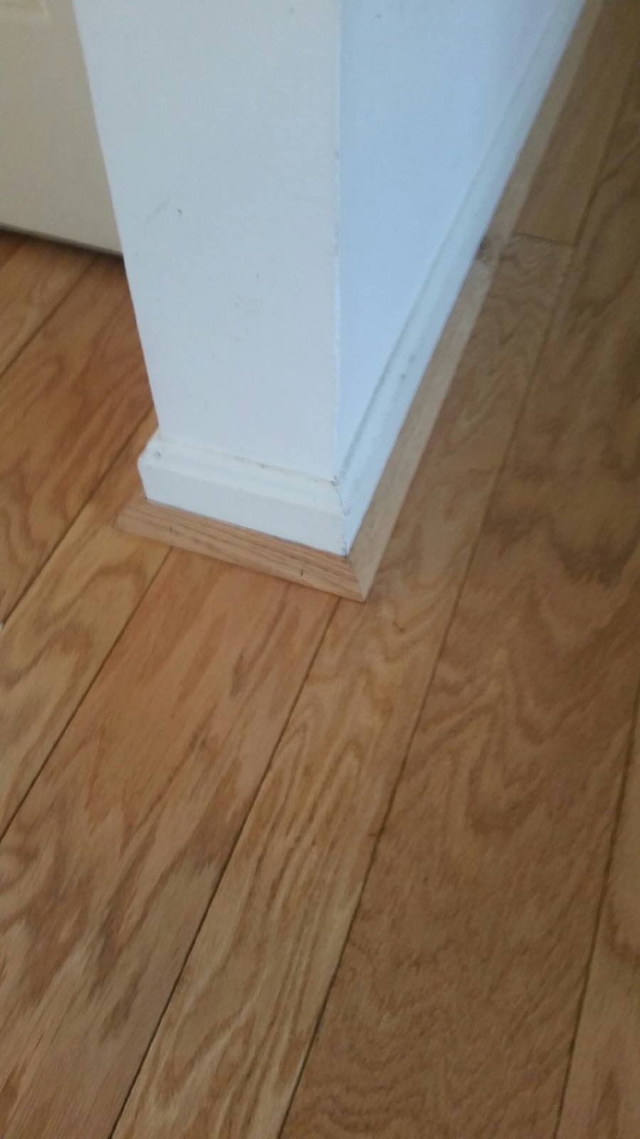 maryland flooring company shore side 004