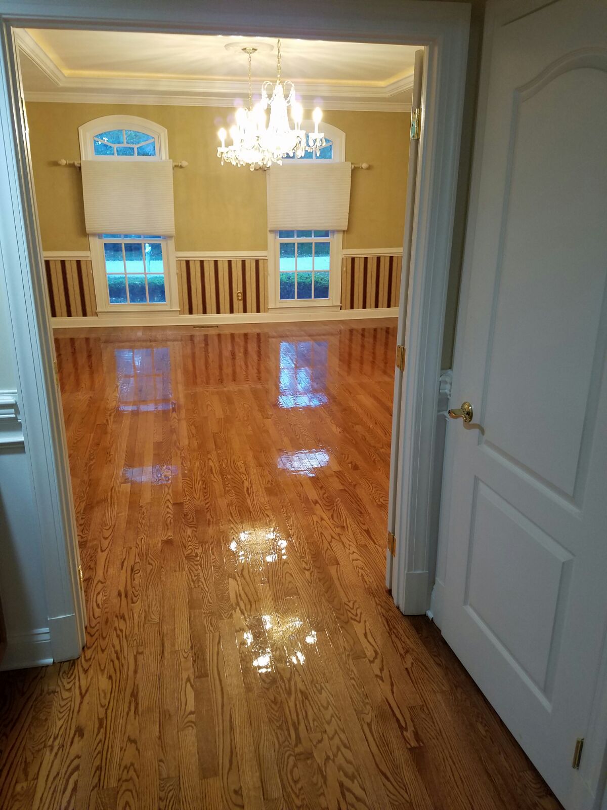 maryland flooring company shore side 022